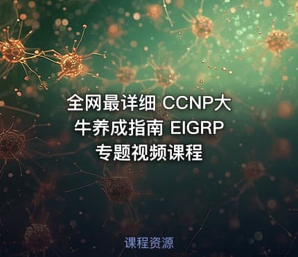 全网最详细 CCNP大牛养成指南 EIGRP专题视频课程