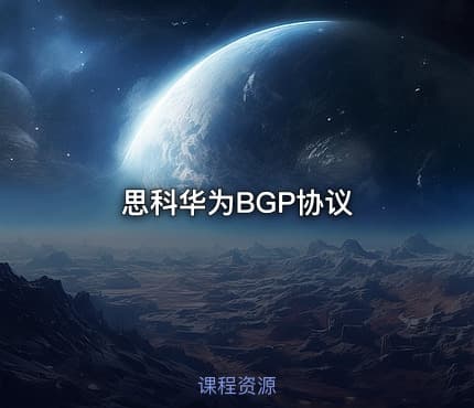 思科华为BGP协议