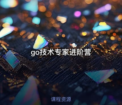 go技术专家进阶营
