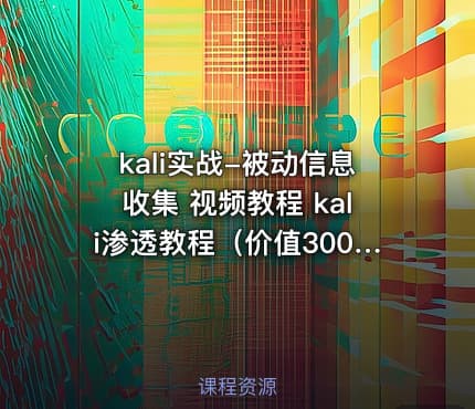 kali实战-被动信息收集 视频教程 kali渗透教程（）