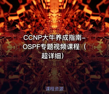 CCNP大牛养成指南-OSPF专题视频课程（超详细）