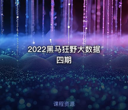 2022黑马狂野大数据四期