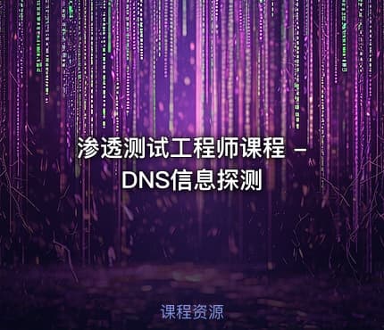 渗透测试工程师课程 - DNS信息探测