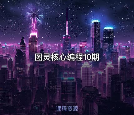 图灵核心编程10期