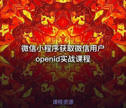 微信小程序获取微信用户openid实战课程