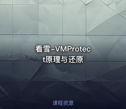 看雪-VMProtect原理与还原