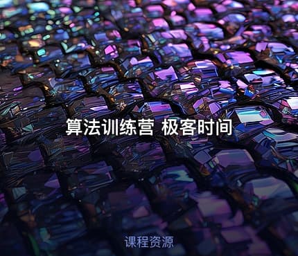 算法训练营 极客时间