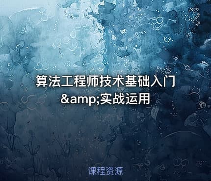 算法工程师技术基础入门&amp;实战运用