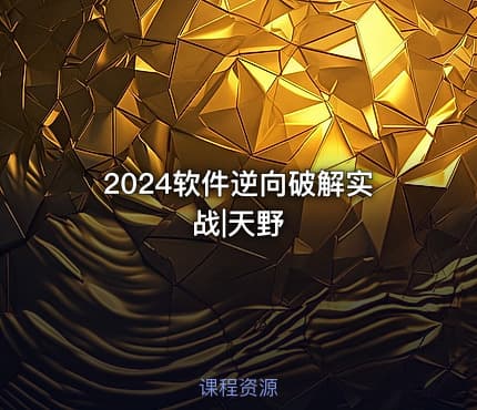2024软件逆向破解实战|天野