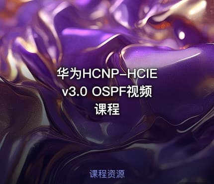 华为HCNP-HCIEv3.0 OSPF视频课程