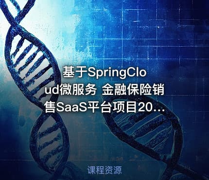 基于SpringCloud微服务 金融保险销售SaaS平台项目2024（资料完整）