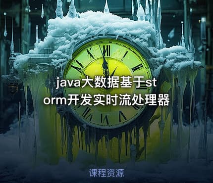 java大数据基于storm开发实时流处理器