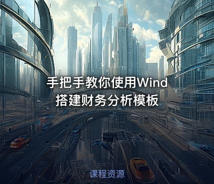 手把手教你使用Wind搭建财务分析模板