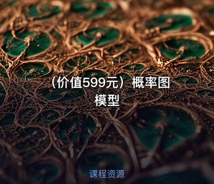 （价值599元）概率图模型