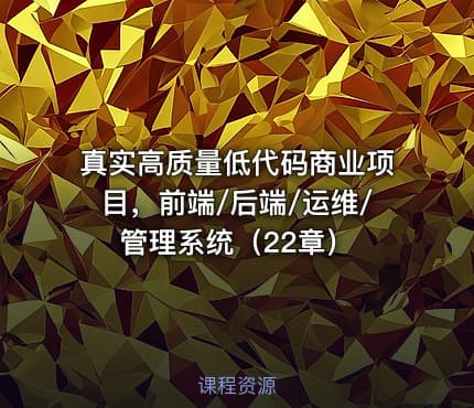 真实高质量低代码商业项目，前端/后端/运维/管理系统（22章）
