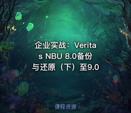 企业实战：Veritas NBU 8.0备份与还原（下）至9.0