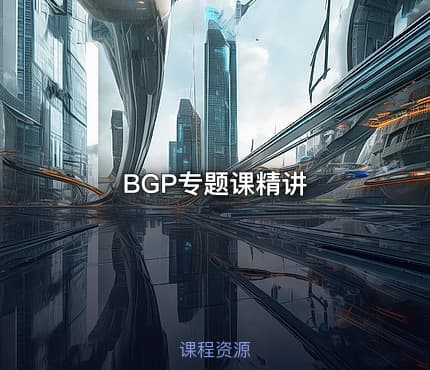 BGP专题课精讲