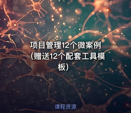 项目管理12个微案例 （赠送12个配套工具模板）