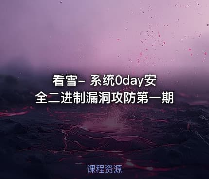 看雪- 系统0day安全二进制漏洞攻防第一期