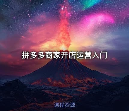 拼多多商家开店运营入门