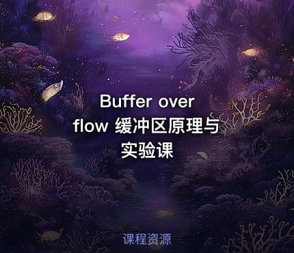 Buffer overflow 缓冲区原理与实验课