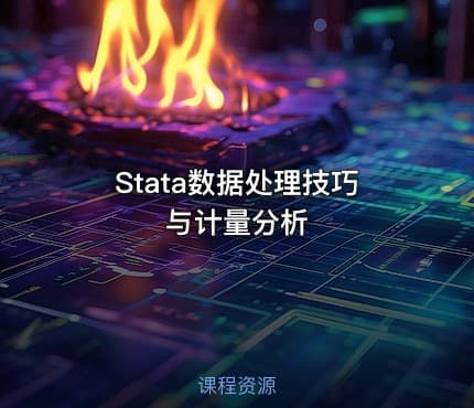Stata数据处理技巧与计量分析