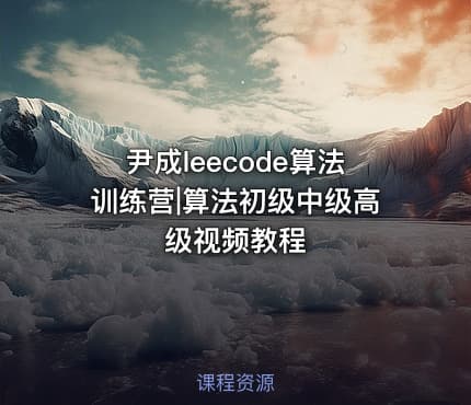 尹成leecode算法训练营|算法初级中级高级视频教程
