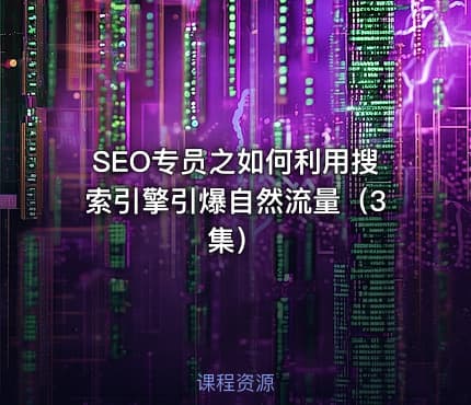 SEO专员之如何利用搜索引擎引爆自然流量（3集）