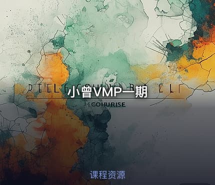 小曾VMP一期