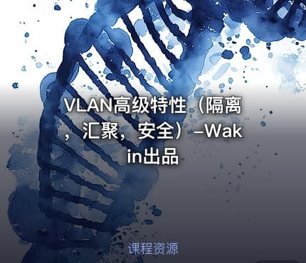 VLAN高级特性（隔离，汇聚，安全）-Wakin出品