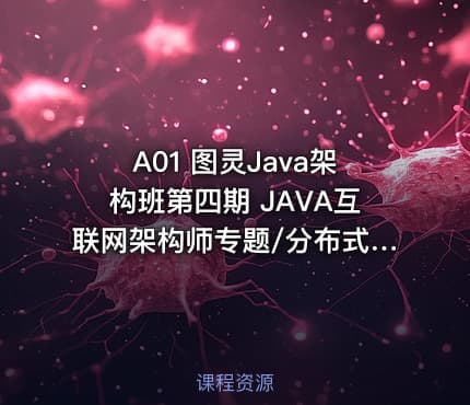 A01 图灵Java架构班第四期 JAVA互联网架构师专题/分布式/高并发/微服务