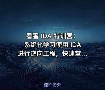 看雪 IDA 特训营；系统化学习使用 IDA 进行逆向工程，快速掌握 IDA 重要操作