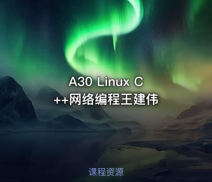 A30 Linux C++网络编程王建伟
