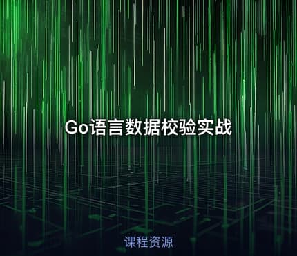 Go语言数据校验实战