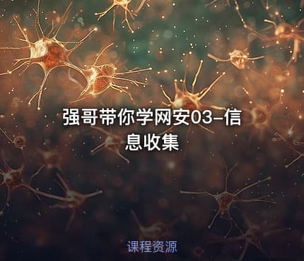 强哥带你学网安03-信息收集