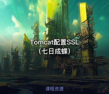 Tomcat配置SSL（七日成蝶）