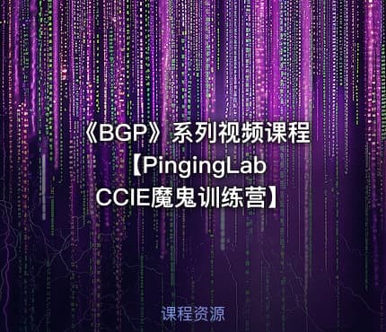 《BGP》系列视频课程【PingingLab CCIE魔鬼训练营】