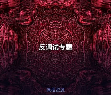 反调试专题