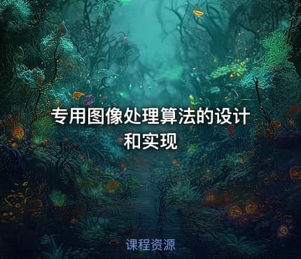 专用图像处理算法的设计和实现