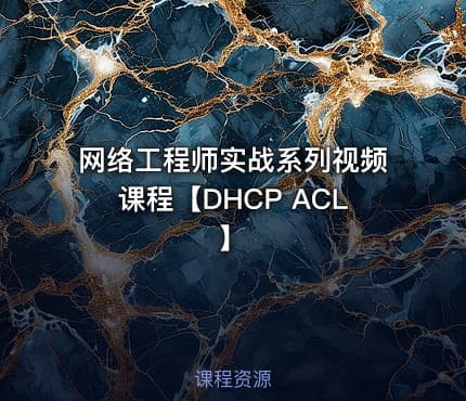 网络工程师实战系列视频课程【DHCP ACL】