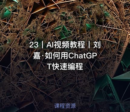 23丨AI视频教程丨刘嘉·如何用ChatGPT快速编程