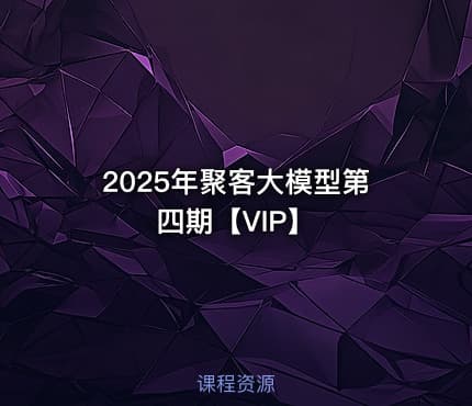 2025年聚客大模型第四期【VIP】