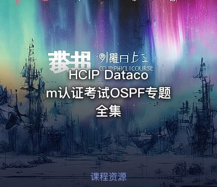 HCIP Datacom认证考试OSPF专题全集
