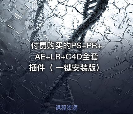 付费购买的PS+PR+AE+LR+C4D全套插件（ 一键安装版）