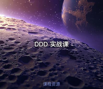 DDD 实战课