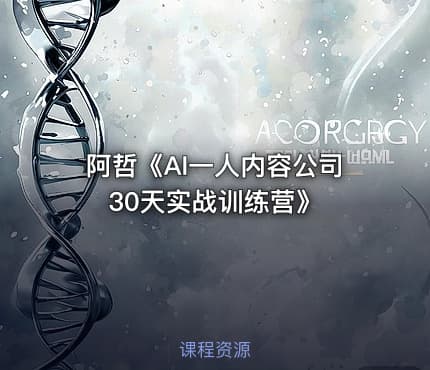 阿哲《AI一人内容公司30天实战训练营》