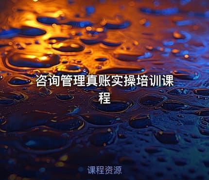 咨询管理真账实操培训课程