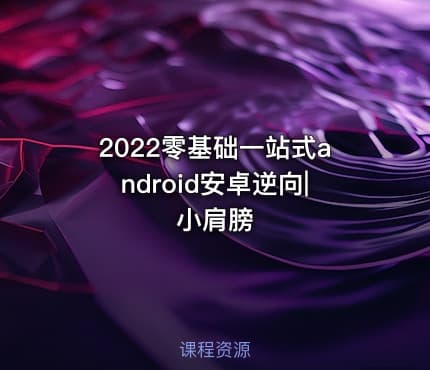 2022零基础一站式android安卓逆向|小肩膀