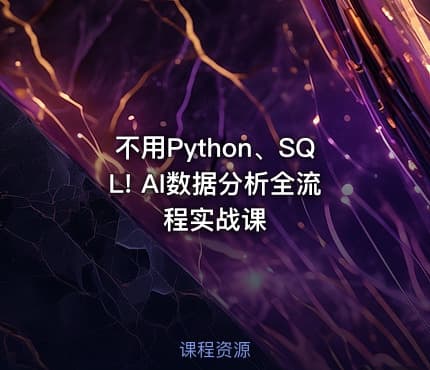 不用Python、SQL! AI数据分析全流程实战课