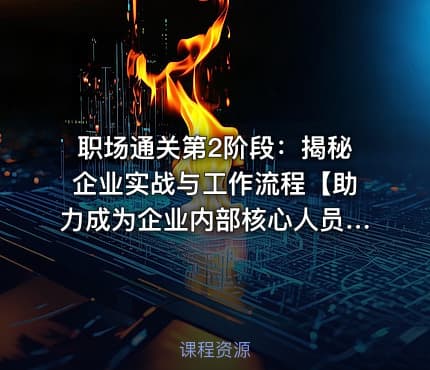 职场通关第2阶段：揭秘企业实战与工作流程【助力成为企业内部核心人员】